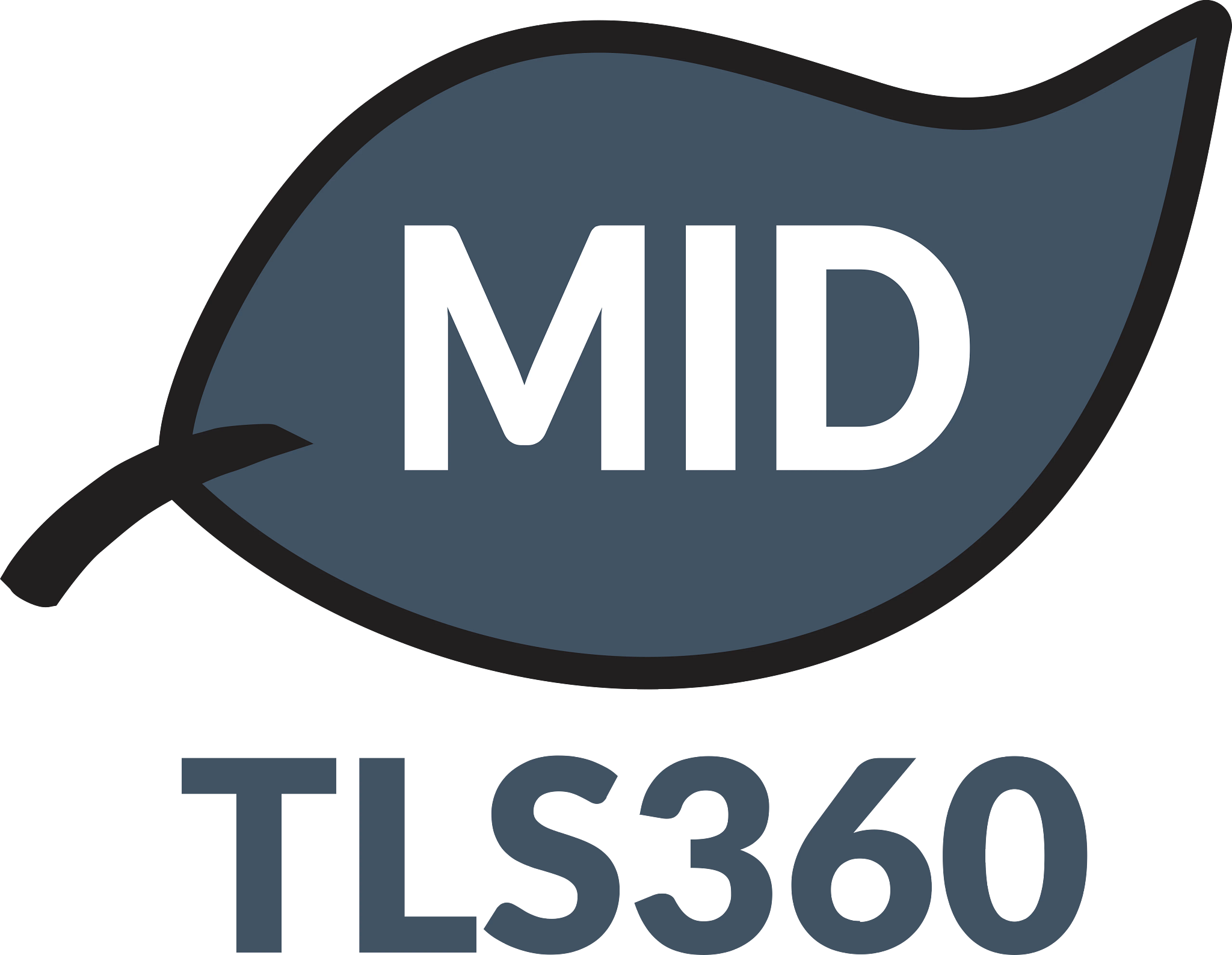 MID (4-6 Years) MID (4-6 Years)